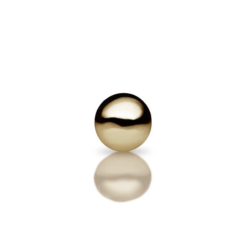 Dome Nostril Screw - Image 14