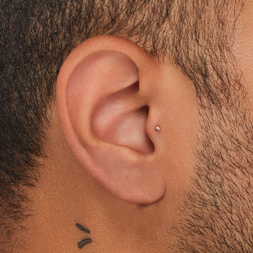 Ball Threaded Stud Earring With Titanium Backing - Image 4