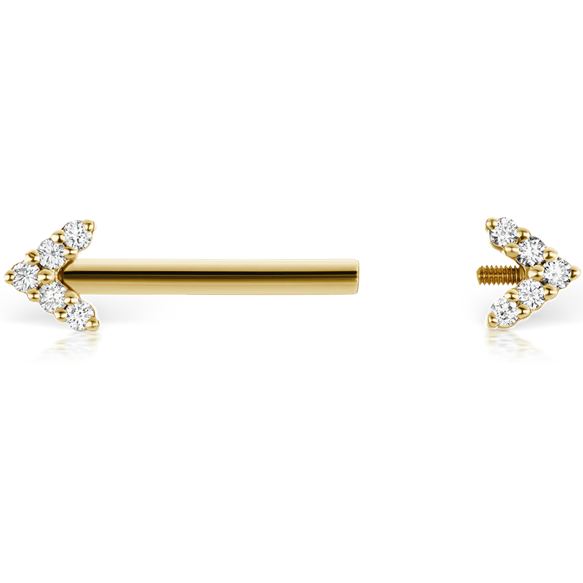 Double Diamond Arrow Nipple Barbell - Image 59