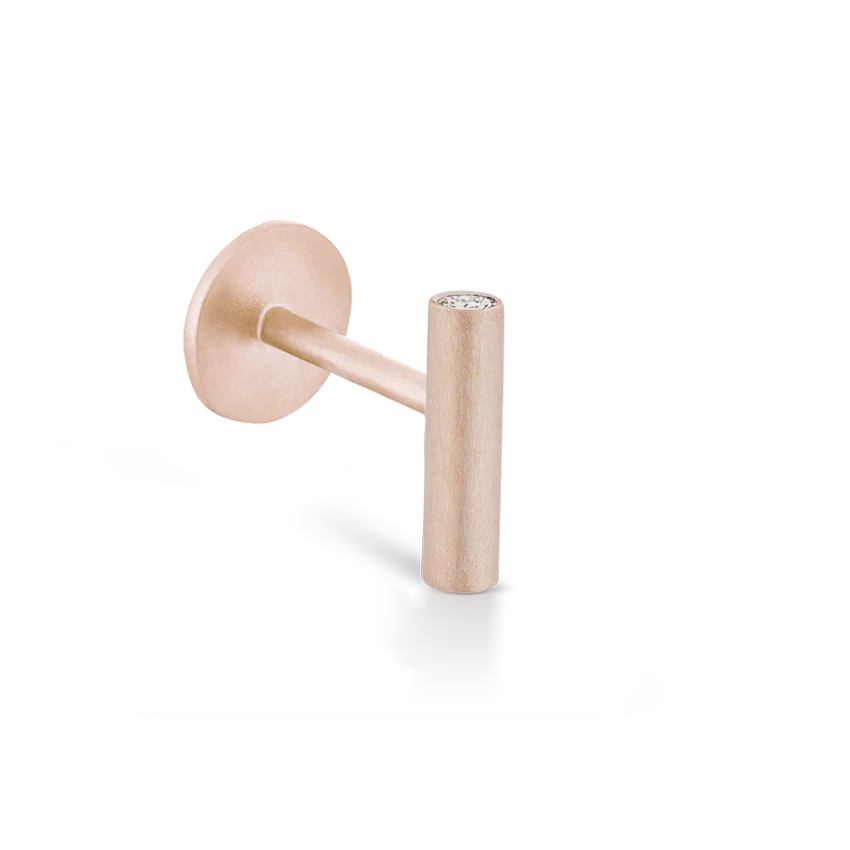 Matte Round Bar with Diamond Ends Threaded Stud Earring With Titanium Backing