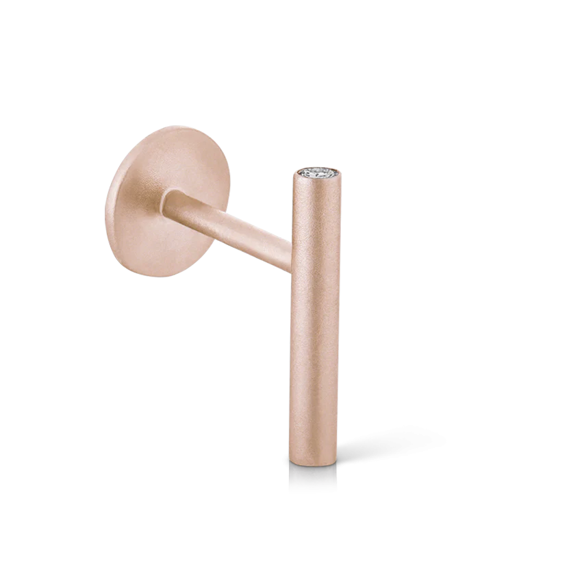 Matte Round Bar with Diamond Ends Threaded Stud Earring With Titanium Backing - Image 6