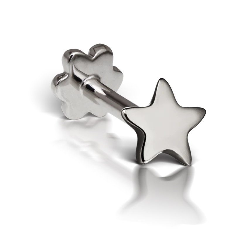 Plain Star Threaded Stud Earring With Titanium Backing - Image 2